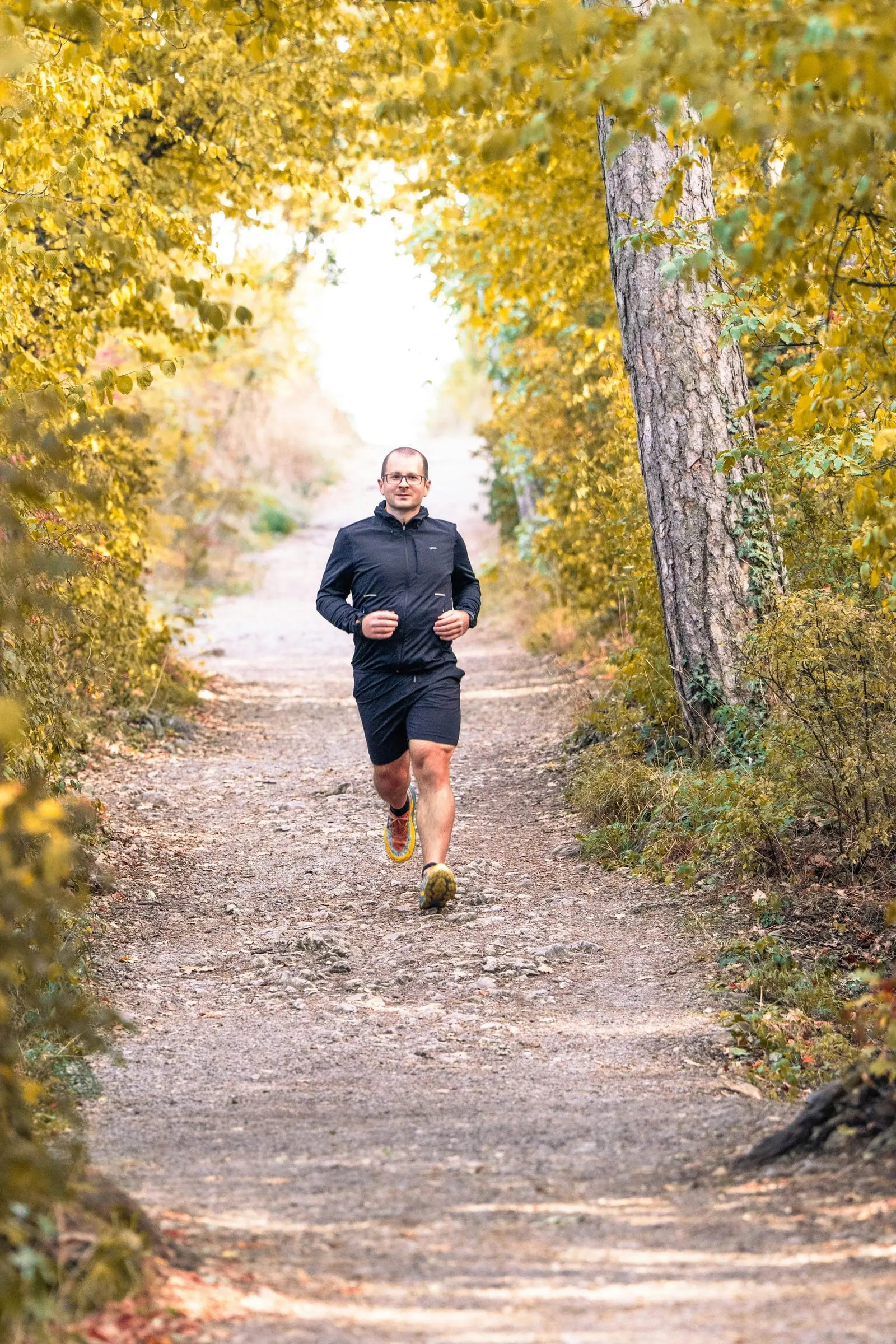 Person løber på en sti i en solbeskinnet skov
