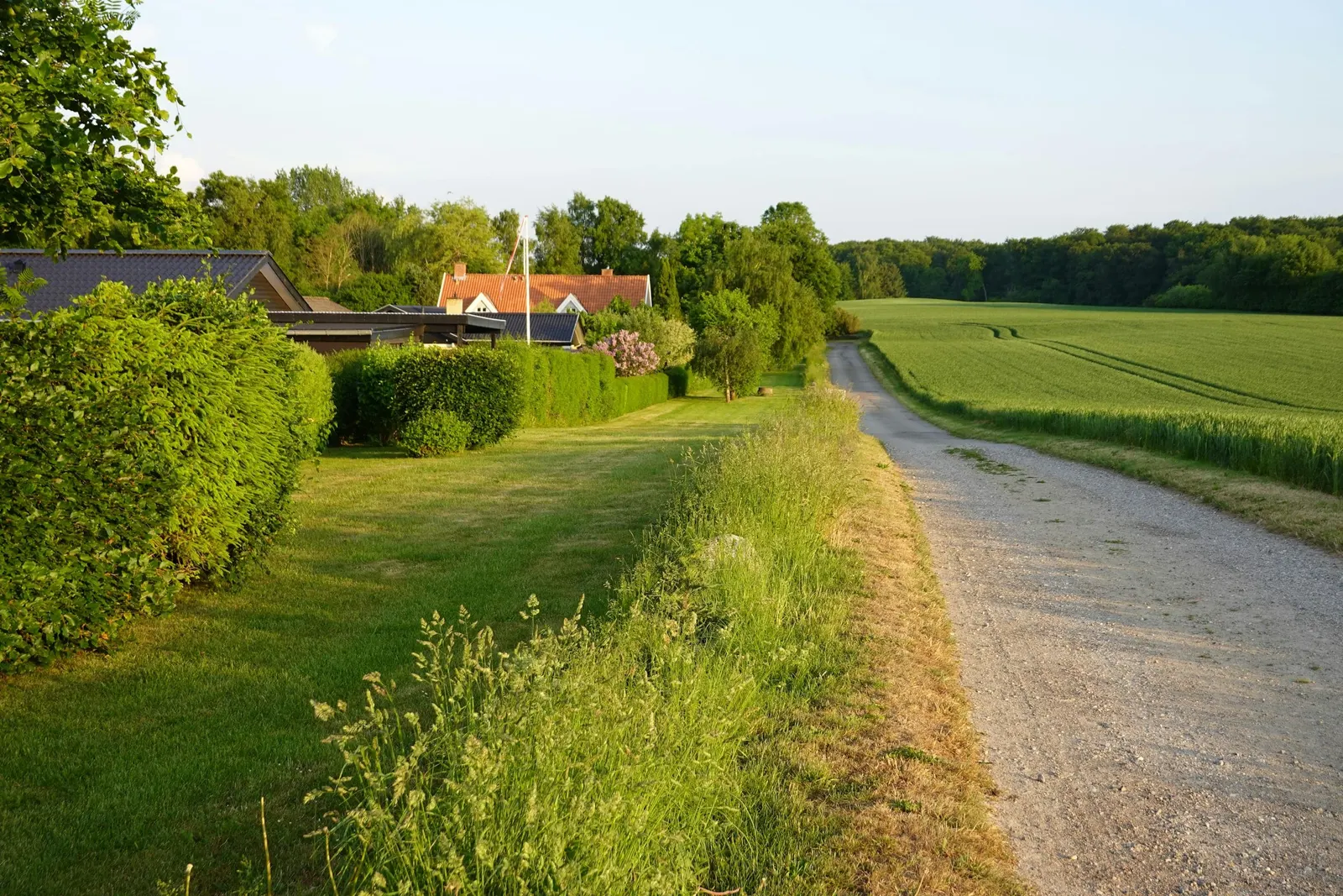 Hus og grusvej omgivet af grønne marker